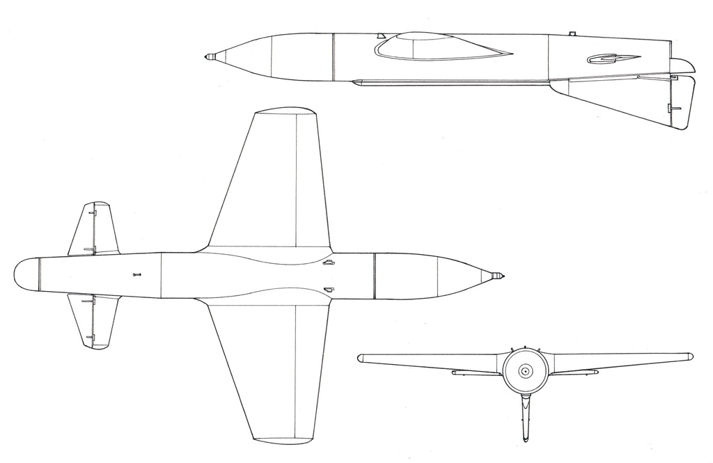 Общий вид авиационной крылатой ракеты «301»
